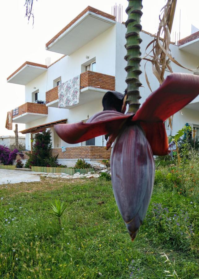 Penelope'S Rooms Dhërmi Dış mekan fotoğraf